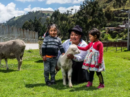 Donación